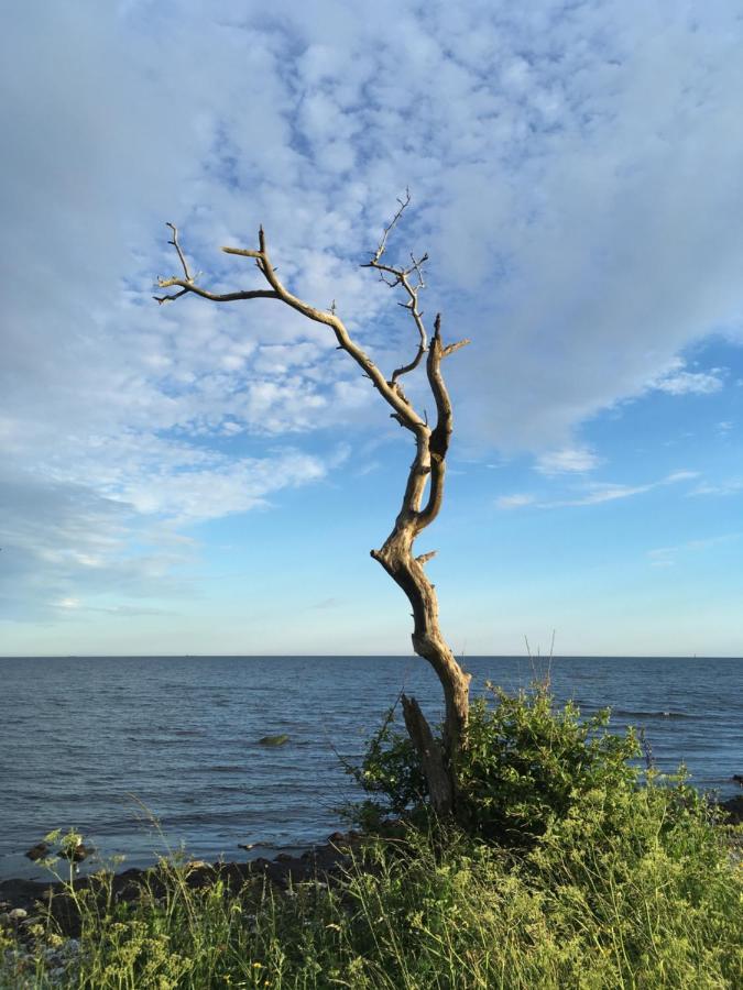 Rum Pa Landet Klagstorp Exteriér fotografie